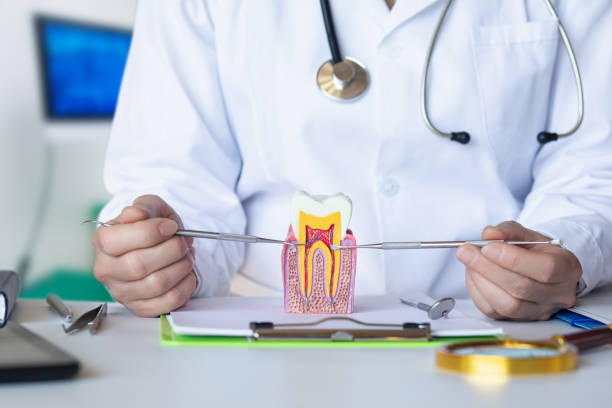 Best Same-Day Emergency Dental Services in Independent Hill, VA